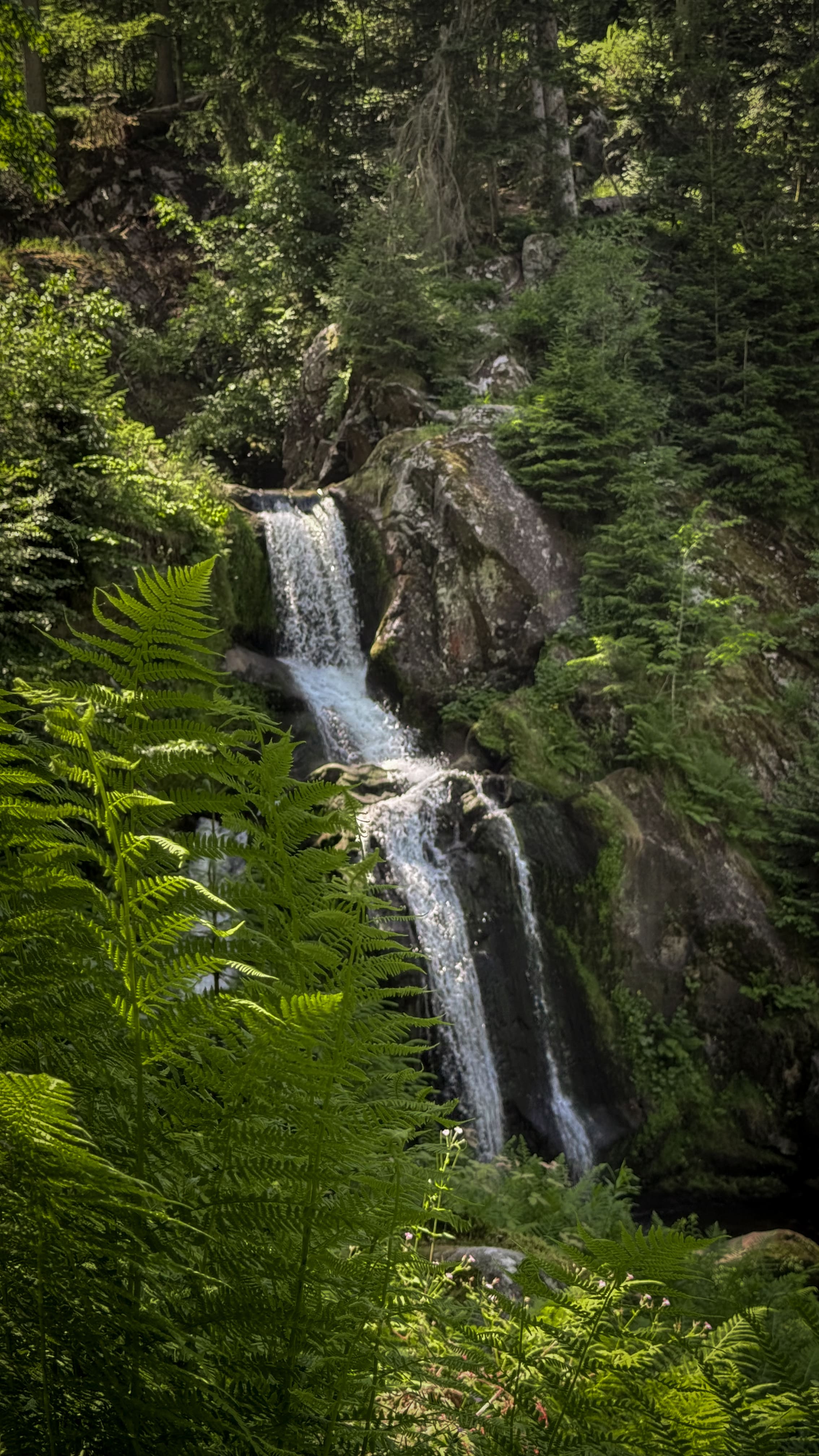 Cover image for blog post: A Perfect Day Trip to Triberg Waterfalls from Ulm – Exploring Germany's Black Forest - Join us on a road trip from Ulm to Triberg, home to Germany's highest waterfalls, charming cuckoo clocks, scenic drives along the B500, and a taste of authentic Black Forest cake.