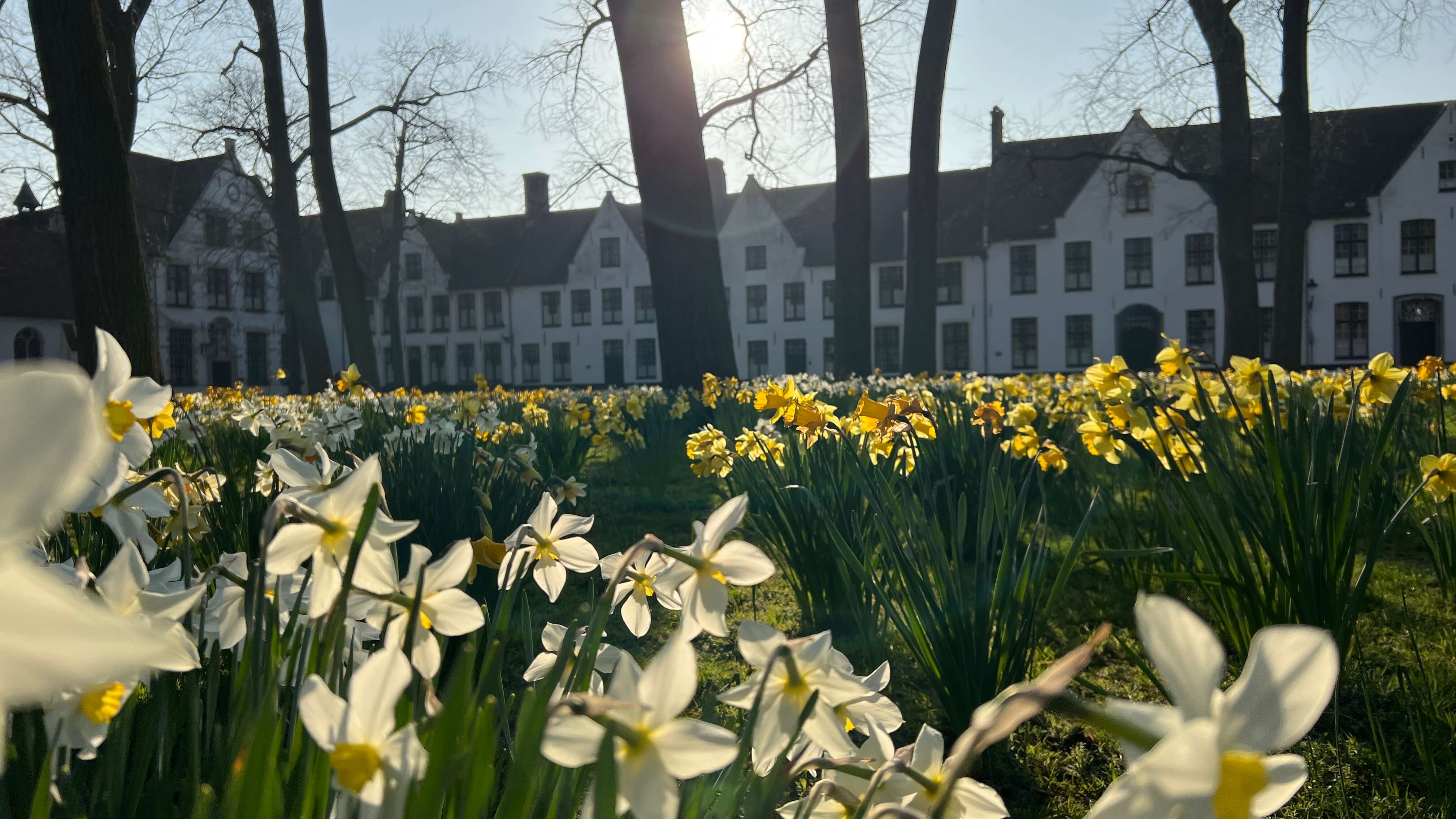 Bruges Canals and Medieval Architecture - Historic waterways and centuries-old buildings