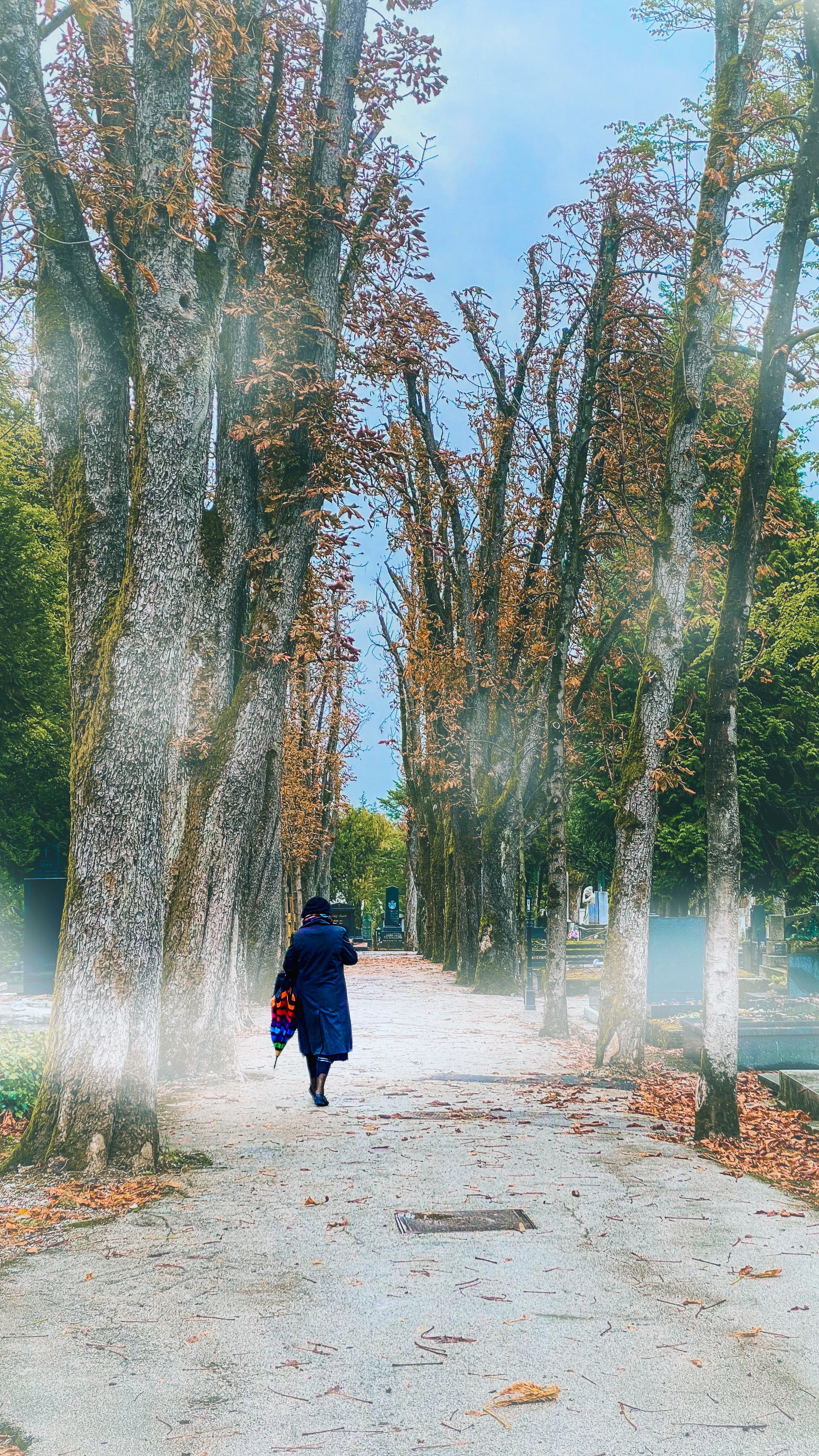 Cover image for blog post: Zagreb Solo Trip – A Birthday I'll Never Forget | Croatia Travel Guide - Join me on a solo travel adventure in Zagreb, Croatia—exploring Mirogoj Cemetery, Zagreb Cathedral, the Grič Tunnel, and an unexpected Malayalam connection on my birthday. Complete travel guide with insider tips and personal stories.